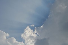 【お題日記】天を仰いだ瞬間！