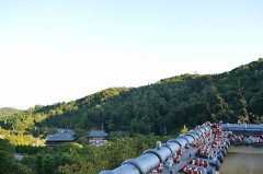 勝尾寺事件ファイル（だるまさん、転んだん？）　＋　朝起きたら一番最初にする事