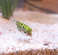 家族が増えました＾＾