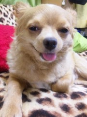 【お題日記】金環日食、見た？