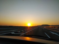 もう週末ーーー！