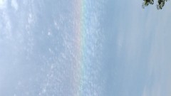 ゴールデンウィークの思い出