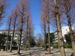 穏やかな大晦日ですね～( ^)o(^ )