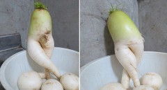 久しぶりにこんな画像を