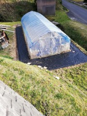 今日はハウス周辺で仕事してました( ^)o(^ )