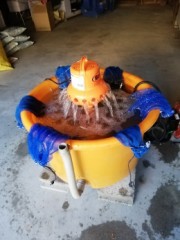 芽だし始まり( ^)o(^ )