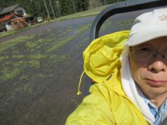 今日は、トラクターで田んぼを！