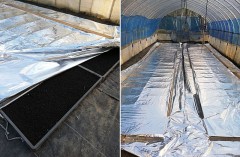 種まきしました～( ^)o(^ )