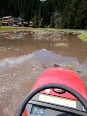 ジャガイモを植えました( ^)o(^ )