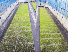 久しぶりに投稿します。