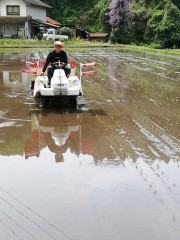 田植えをしました( ^)o(^ )