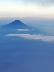 今日島根に帰りました( ^)o(^ )