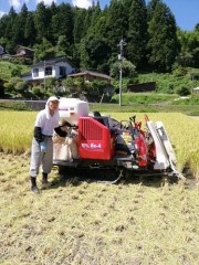 今年始めての稲刈りしました(^^♪