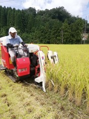 稲刈りはじまりました( ^)o(^ )