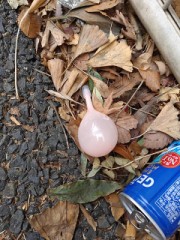 路上に捨てるなそんなモン