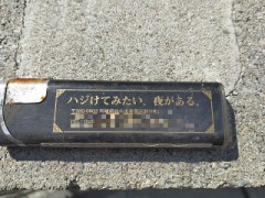ハジけてみたい、夜がある。