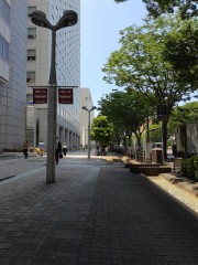 明日は夏至ですが‥‥。