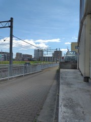 お暑うございます(連日言いますw)