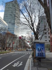 【お題日記】大人になってから食べられるようになった物
