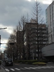 【お題日記】今行ってみたい都道府県