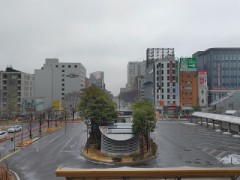 お疲れ気味です。