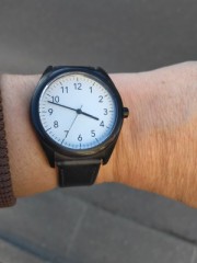 【お題日記】お手本にしてる人は？