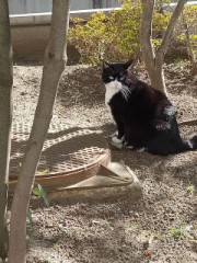 【お題日記】鑑定してもらいたいなーと思う物持ってる？