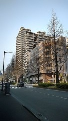 【お題日記】学校卒業後の春休みはどう過ごしてた？