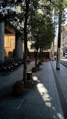 【お題日記】ズボン破れちゃったことある？