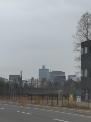 【お題日記】今冬インフルエンザかかった？