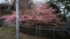 【お題日記】有休はしっかり取れた？