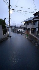 【お題日記】お酢飲んでる？