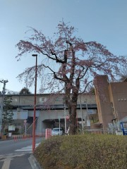 【お題日記】MADE IN JAPANは意識してる？