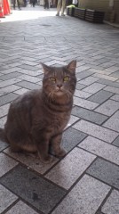 やっと会えた＼(^ー^)／