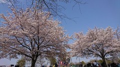 青いイナズマが僕をせめる