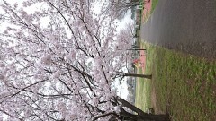 【お題日記】お昼休憩にすること