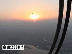 せっかくだから