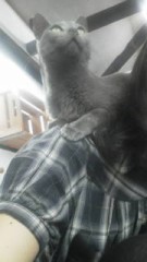 上に乗らないでっ