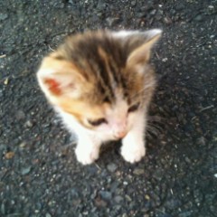 今日３０°って…