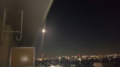 お題ではないですが…