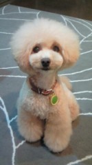 【お題日記】健康のためにしていることは？