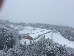 富山は雪景色！