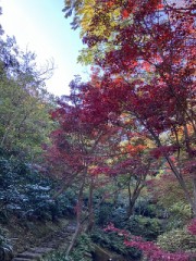 追い付かない心