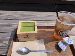 ただいま恋活中