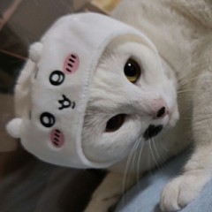 【お題日記】ココ攻めて欲しい時ははっきり言う？