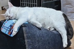 【お題日記】相手のボディ、まずはどこに目が行く？