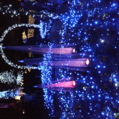 自分のエッチstyle( 再)