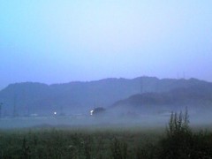 朝もや。