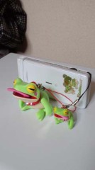 【お題日記】今年の目標、決まりましたか？