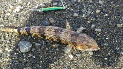 【お題日記】9月はこんなことしたーい！